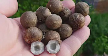 Taking Metformin? Use This Household Food To Lower Blood Sugar!